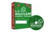 Whatsapp Blaster API